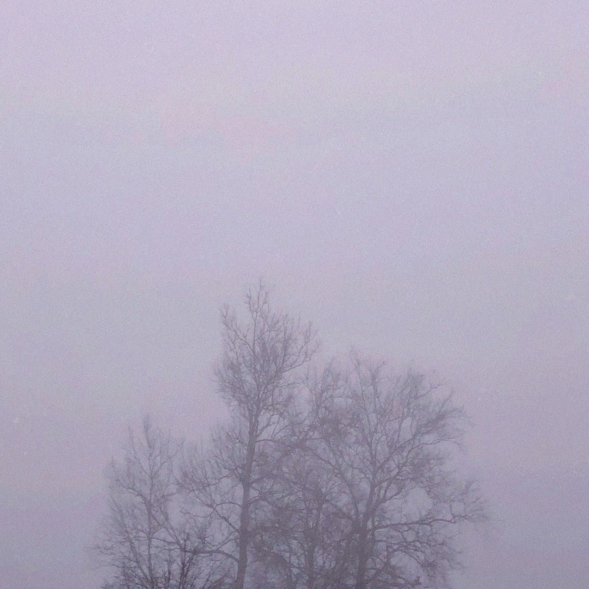 Sigils - You Built The Altar, You Lit The Leaves